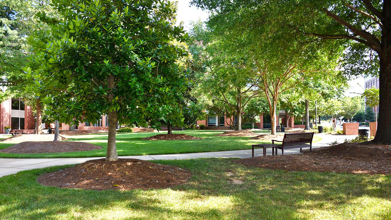 Venture Courtyard view