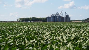 Regulatory Science in Agriculture - Online Program