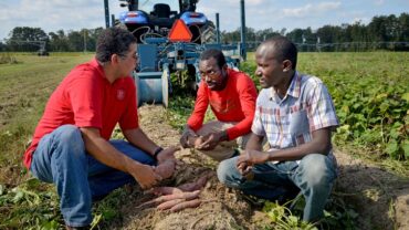 Agricultural Science - Online Program