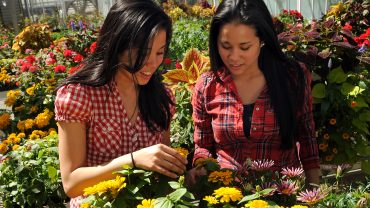 General Horticulture - Online Program