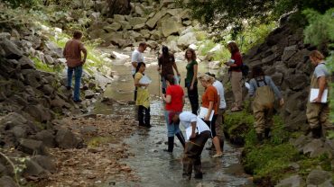 Watershed Assessment and Restoration - Online Program