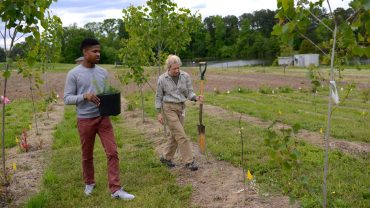 Soil Science - Online Program